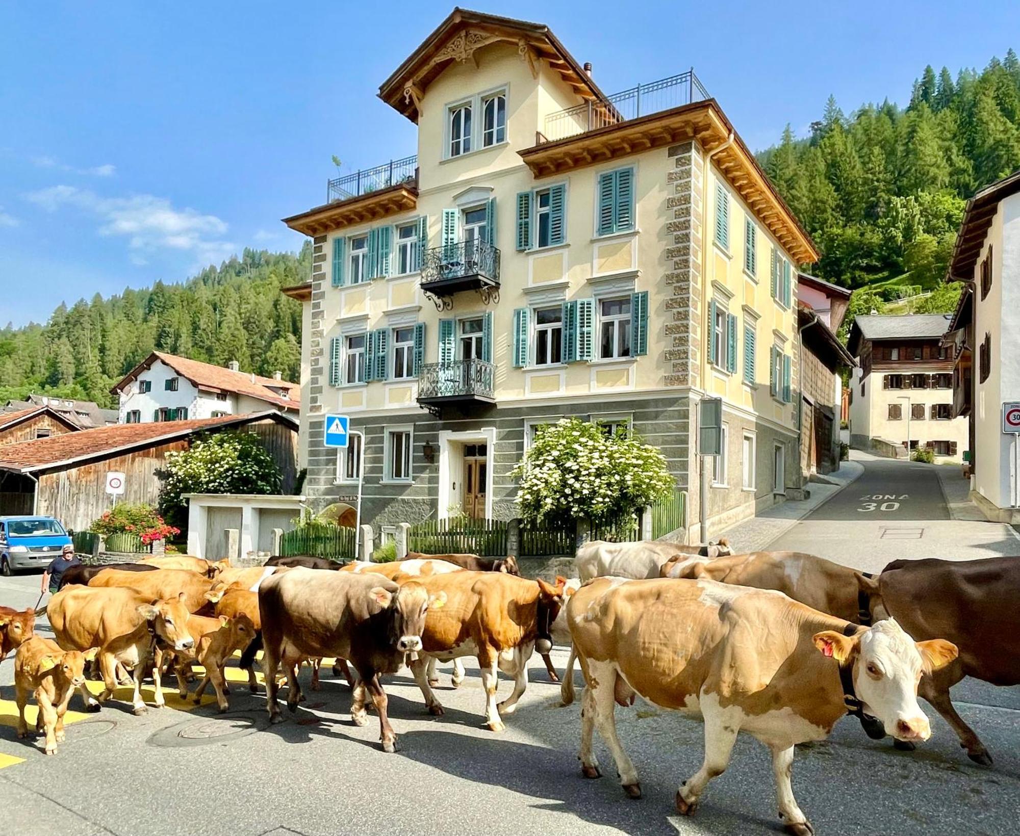 B&B La Scala Trin Экстерьер фото